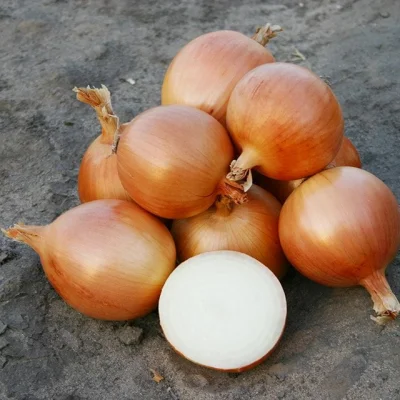 Лук