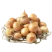 Лук жёлтый Лук жёлтый