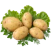 Картофель Гала Картофель Гала