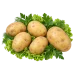 Картофель Адретта Картофель Адретта